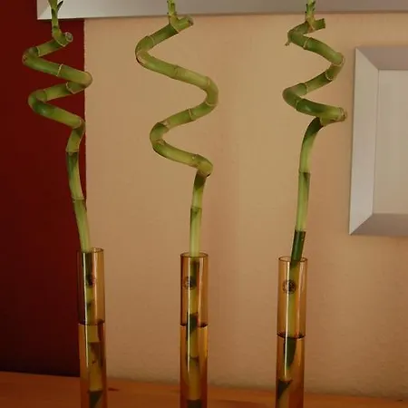 Sonnenschein * Schönberger Strand