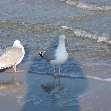 Appartement Sonnenschein *