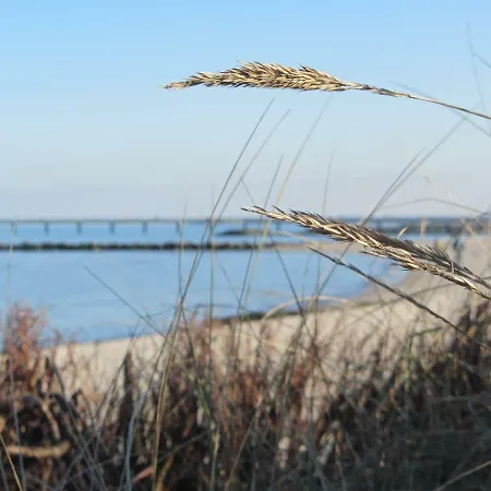 Sonnenschein Schonberger Strand